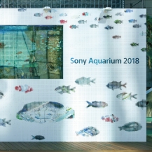 Sony Aquarium 2018