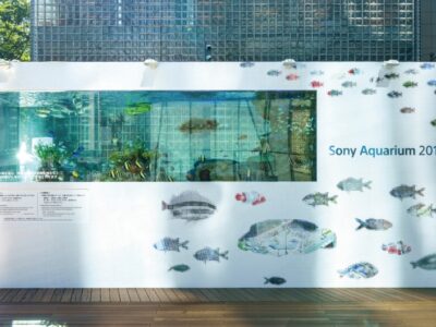 Sony Aquarium 2018