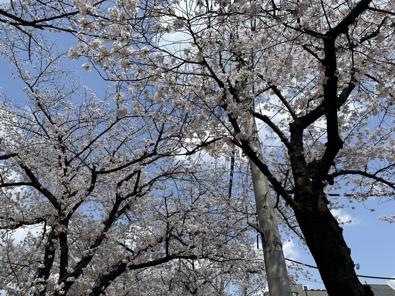 消えゆくカタチと残るカタチ